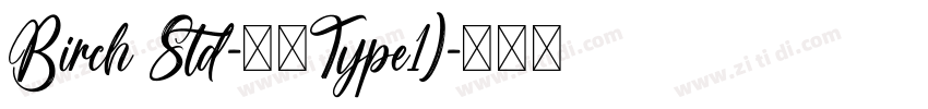 Birch Std-常规Type1)字体转换